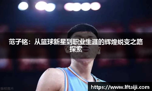 球速体育官方